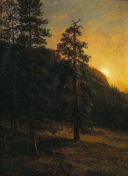 Albert Bierstadt California Redwoods